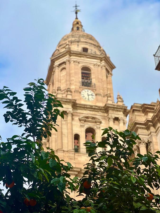 Museum Picasso Suite Málaga Eksteriør billede